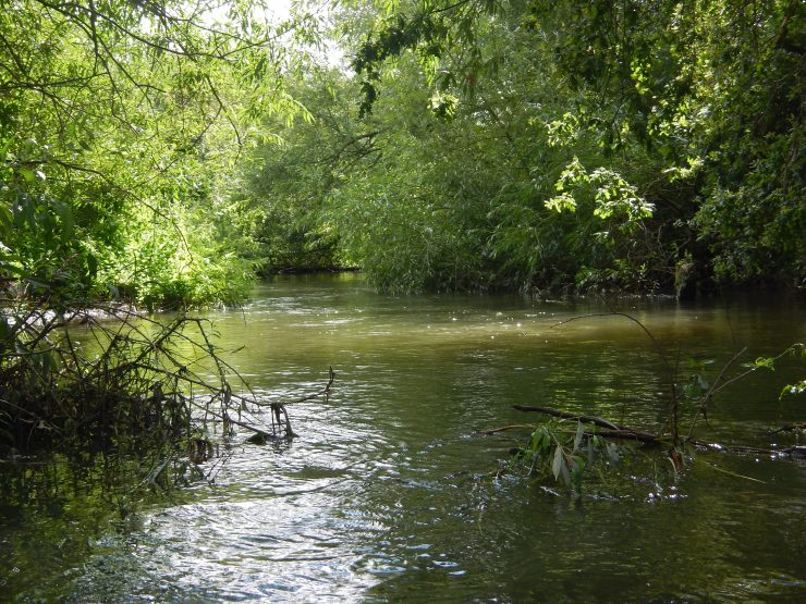 Swift Ditch, River Thames, England