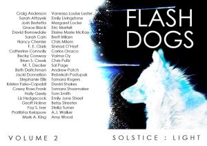 Solstice Light writers